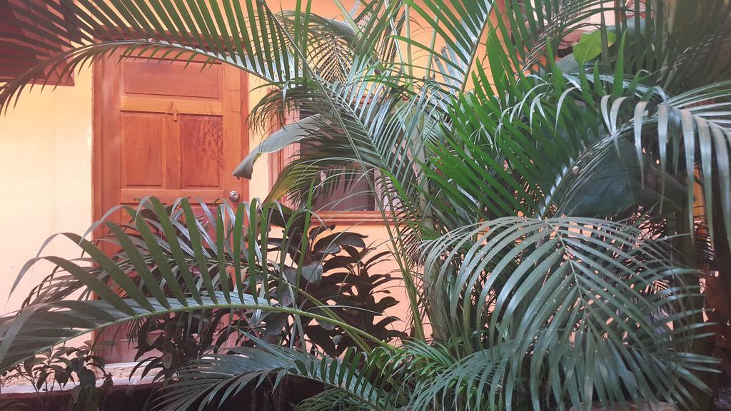 Hotel El Maltese Гранада Екстериор снимка